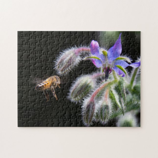 Herb Garden Blume Borage & Honey Bee (Horizontal)