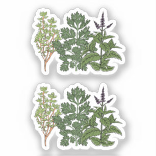 Herb Garden Custom-Cut Vinyl Sticker