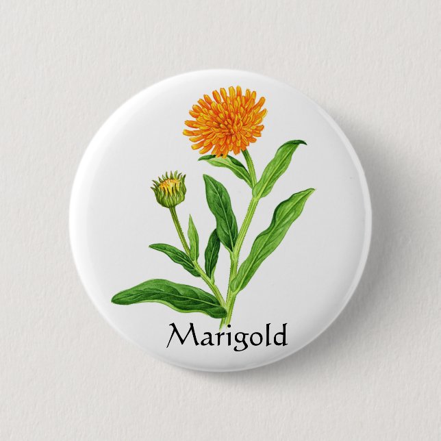 Herb Garden Series - Marigold Button (Vorderseite)