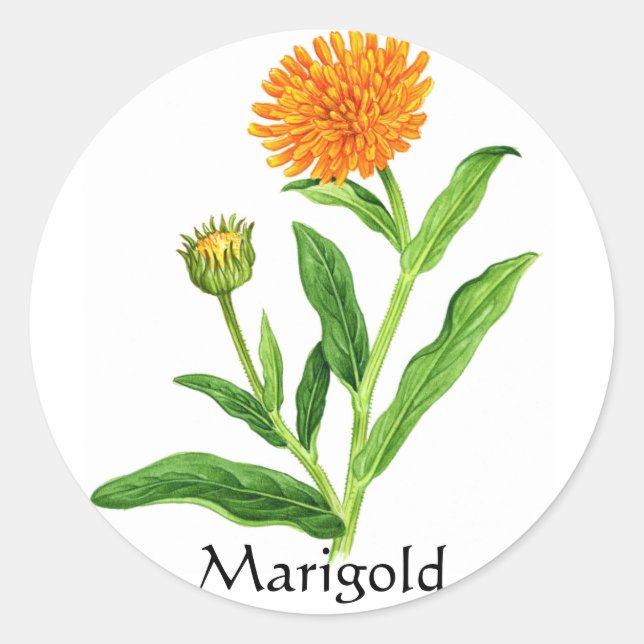 Herb Garden Series - Marigold Runder Aufkleber (Vorderseite)