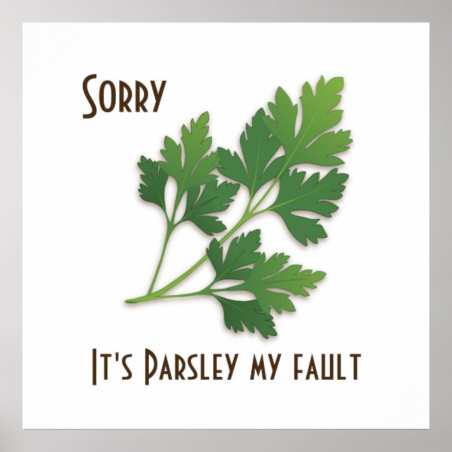 Herb Pun, Désolé c'est Parsley My Fault Poster (Devant)