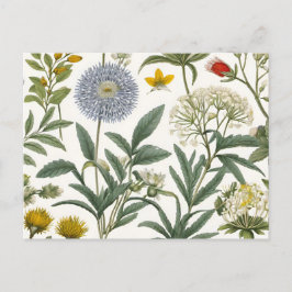 Herbal Harmony Einladungspostkarte