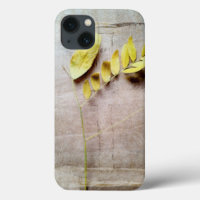Herbarium V