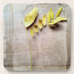 Herbarium V Getränkeuntersetzer