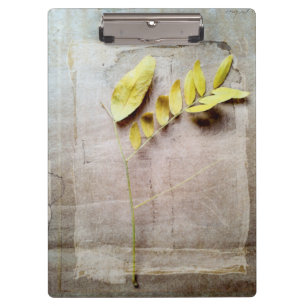Herbarium V Klemmbrett