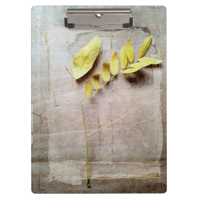 Herbarium V Klemmbrett (Vorderseite)