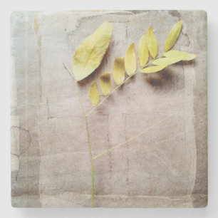 Herbarium V Steinuntersetzer