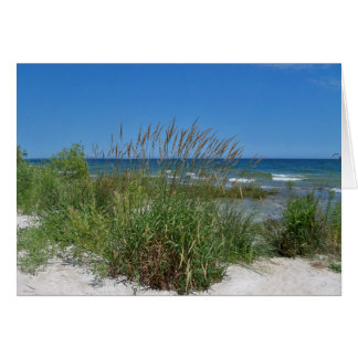 Herbe de mer le long du bord de la mer