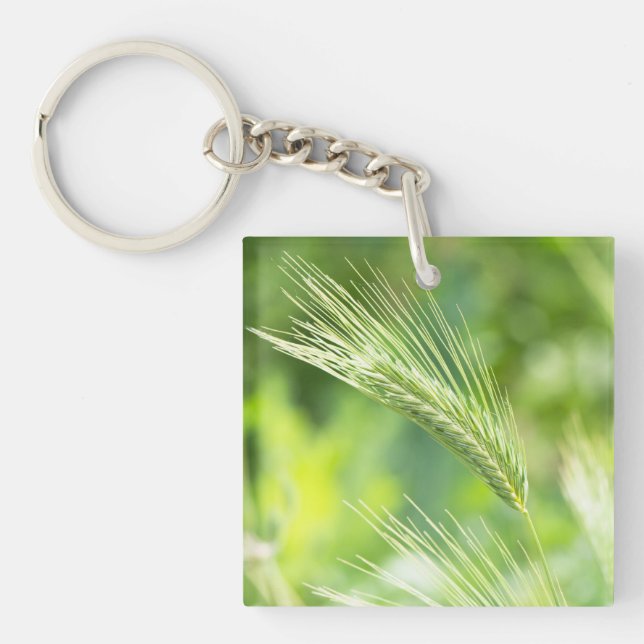 Herbe verte (Devant)