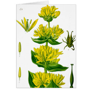 Herbe vintage jaune ressort