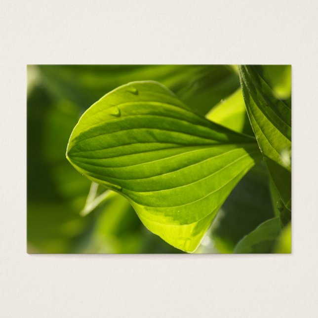 Herberge 1 (Vorderseite)