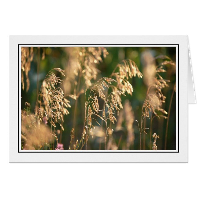 Herbes (Devant horizontal)