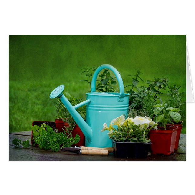 Herbes/fleurs/faisant du jardinage - carte vierge (Devant horizontal)