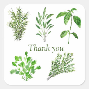 Herbs Rosemary Sage Thyme Mint Parsley Vielen Dank Quadratischer Aufkleber
