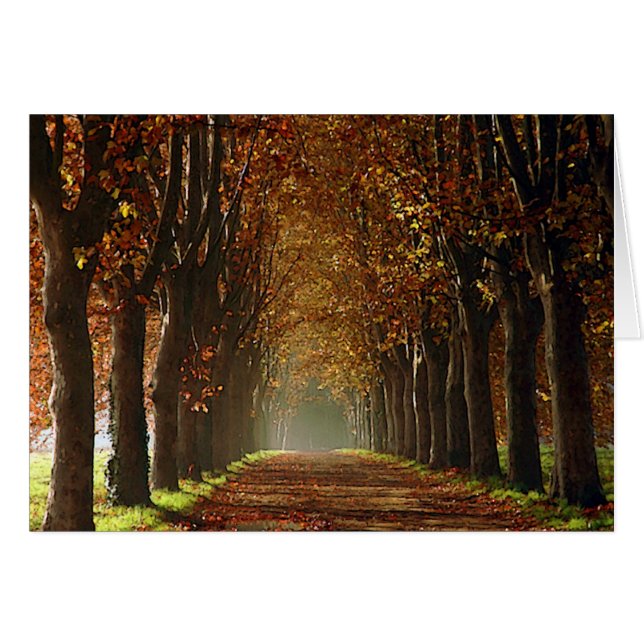 Herbst (Vorderseite (Horizontal))