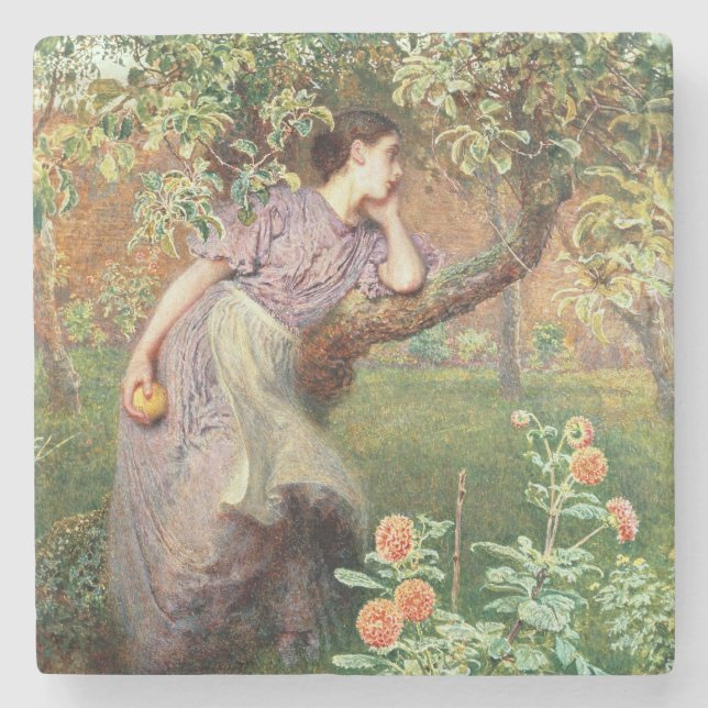 Herbst, 1865 steinuntersetzer (Vorderseite)