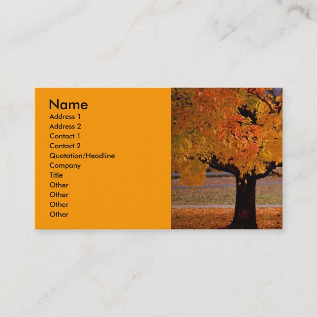 Herbst (1), Name, Anschrift 1, Anschrift 2, Kontak Visitenkarte (Vorderseite)