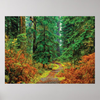 Herbst 31 poster