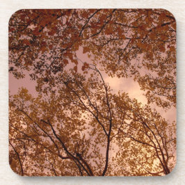 'Herbst Abstrakt' Cork Untersetzer Set