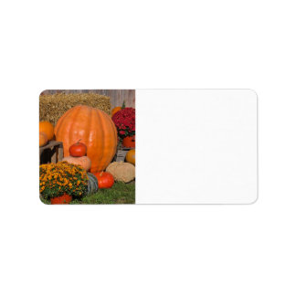 Herbst Adressaufkleber