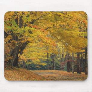 Herbst-Ahornbaum überragt Landstraße, Mousepad