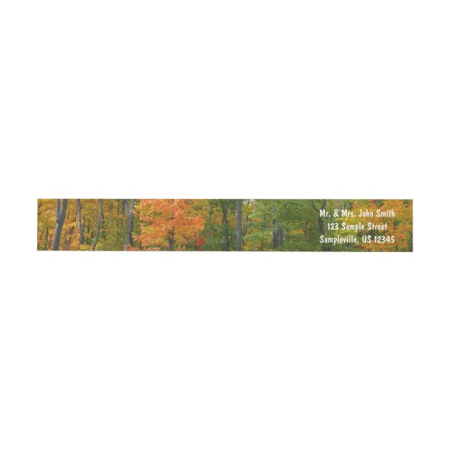 Herbst-Ahornbäume Herbstfotografie (Person)