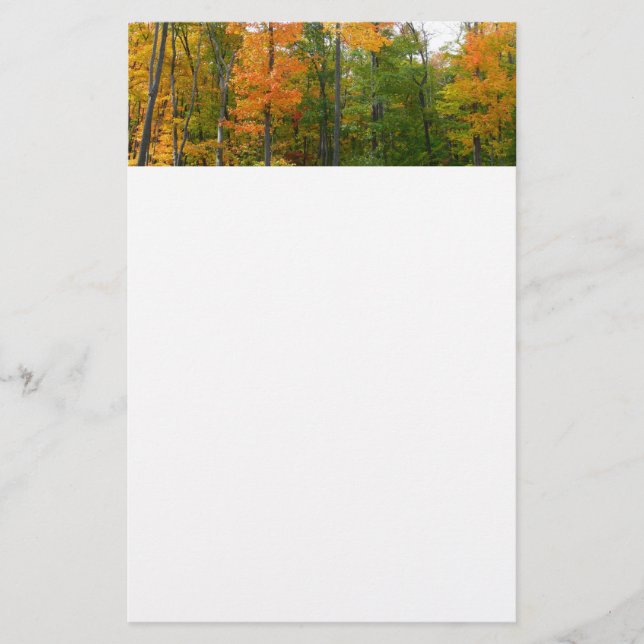 Herbst-Ahornbäume Herbstfotografie Briefpapier (Vorderseite)