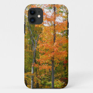 Herbst-Ahornbäume Herbstfotografie iPhone 11 Hülle