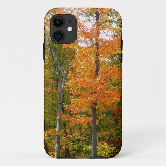 Herbst-Ahornbäume Herbstfotografie Case-Mate iPhone Hülle (Rückseite)