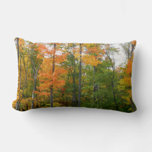 Herbst-Ahornbäume Herbstfotografie Lendenkissen