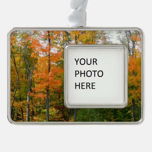 Herbst-Ahornbäume Herbstfotografie Rahmen-Ornament Silber (Vorderseite)