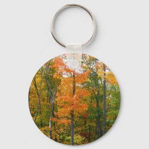 Herbst-Ahornbäume Herbstfotografie Schlüsselanhänger