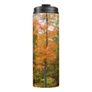 Herbst-Ahornbäume Herbstfotografie Thermosbecher