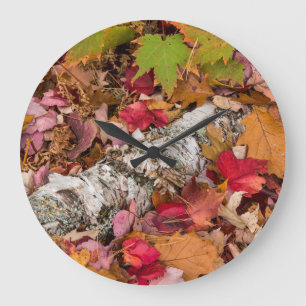 Herbst-Ahornblätter bedecken Birkenrinde im Wald Große Wanduhr
