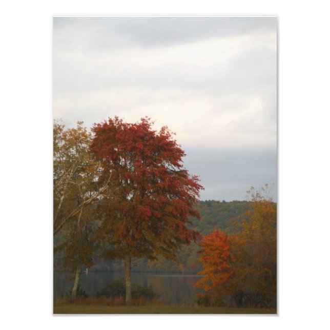 Herbst am Arrowhad-See. Fotodruck (Vorne)