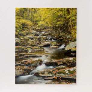 Herbst am Big Creek