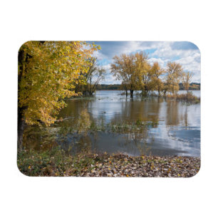 Herbst am Black Dog Lake Magnet