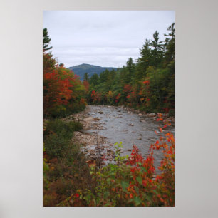 Herbst am Fluss Poster