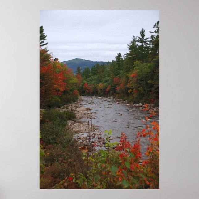 Herbst am Fluss Poster (Vorne)