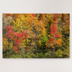 Herbst am Sims Pond North Carolina, Blue Ridge