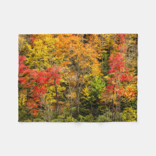 Herbst am Sims Pond North Carolina, Blue Ridge Fleecedecke