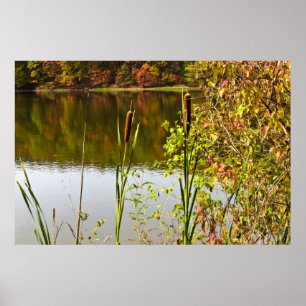 Herbst am Teich Poster