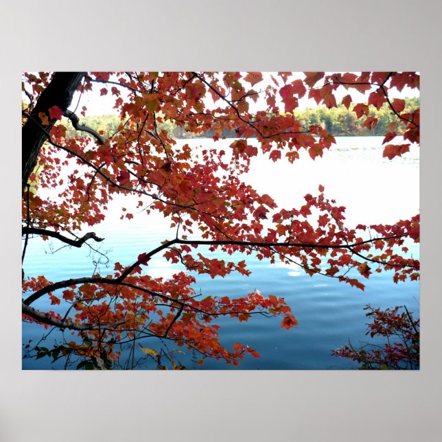 Herbst am Waldenteich Poster (Vorne)