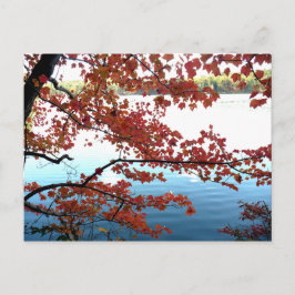 Herbst am Waldenteich Postkarte
