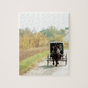Herbst-amisches Pferd und Buggy