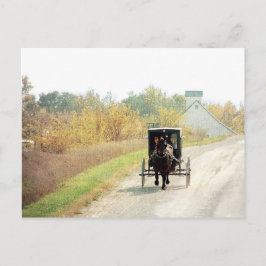 Herbst-amisches Pferd und Buggy Postkarte