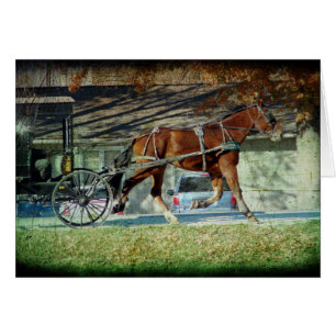 Herbst-Amish-Buggy