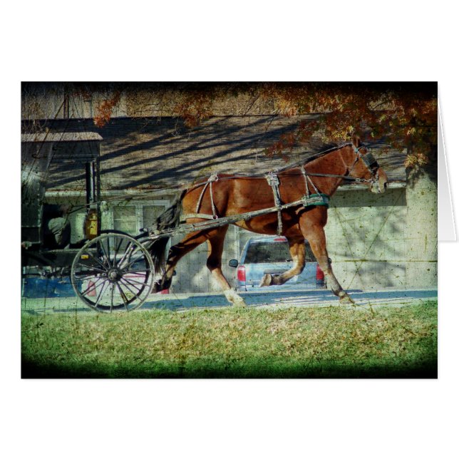 Herbst-Amish-Buggy (Vorderseite (Horizontal))