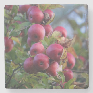 Herbst Apple Steinuntersetzer