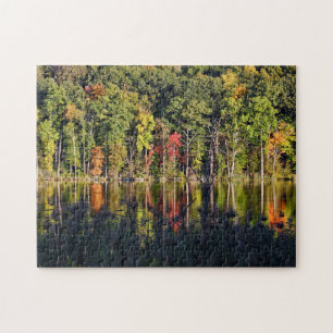 Herbst auf Beardsley-Teich